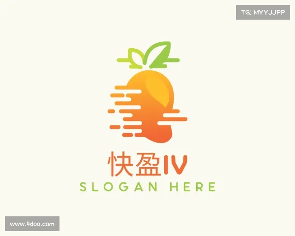 介绍快盈IV